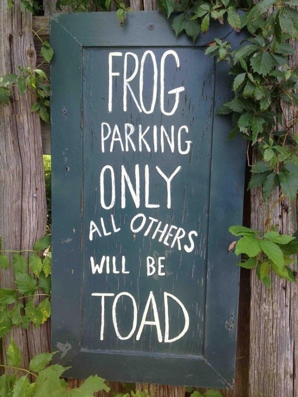 frog parking